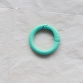 Mint green 2.5cm painted metal spring ring buckle for DIY jewelry and phone chains - Mint Green