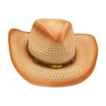 Western straw cowboy hat with gradient brown tones and gold feather metal trim - One Size / Cream 1 (Gold Feather)