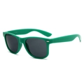 Classic green Wellington sunglasses with dark polarized lenses and CE certification - Dark Green Frame
