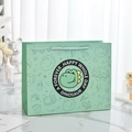 Süße minzgrüne Geschenktüte aus Papier mit Dino-Motiv und weißem Flechtgriff - Grüner Dinosaurier