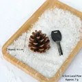 Natural 4-5cm pine cone decoration for DIY Christmas crafts on a white snowy tray - 4-5CM Local Pinecone
