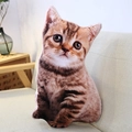 Detailansicht des getigerten Kätzchen-Plüschkissens auf einem beigen Stoffsofa im Wohnzimmer - Orangefarbene Tigerkatze 25*43cm