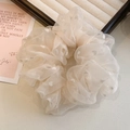 Dettaglio di scrunchie in rete con ricamo a cuore avorio e tessuto in organza - Bianco Sporco