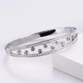 Dettaglio del bracciale in acciaio al titanio argentato con doppie file di zirconi lucidi - Color Acciaio