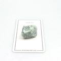 Macro shot of natural raw green stone specimen on white card for crystal collection - Green Aventurine
