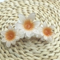 Translucent white flower hair claw clip with orange centers on woven straw background - Triple Daisy [White Orange Center]