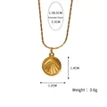 18K vergulde schelpmunt ketting met 38,5 cm ketting en 5,5 cm verlengstuk - Gouden Schelp