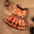 Orange Halloween pet dress with pumpkin prints and black lace on a wooden floor - S / Pumpkin Lace Dress Orange