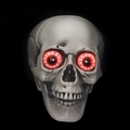 Close-up of Halloween skull with glowing red eyes on a dark background for spooky decor - Glowing Red Eyes Skull (New No. 3)