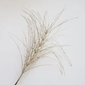 Sparkling silver glitter branch decoration for Christmas tree and festive floral arrangements - 48cm / Firework Pick - Glitter Champagne