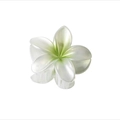 Detail of frangipani hair claw clip showing resin texture and green gradient center - Pearl White Green Center