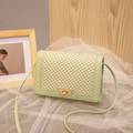 Stylish mint green ladies crossbody square bag with lattice mesh flap and gold lock. - Light Green