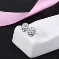 Elegantes pendientes de plata de ley S925 con racimos de cristales de plata brillante - 8mm / Plata Glaciar