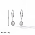 Elegante zilveren druppeloorbellen met zirkoon, lengte 26 mm en gewicht van 2,9 g - Platina