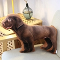 Realistic brown Labrador puppy shaped plush throw pillow placed on a cozy sofa - Dachshund 48*35cm