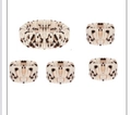 Set per la cura della pelle da 5 pezzi con stampa leopardata, fascia e polsini in pile - Set da 5 Pezzi (1 Fascia + 4 Polsini) / Leopardo Marrone Nero