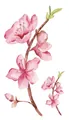 Adesivi per tatuaggi temporanei con fiori di ciliegio rosa e rami ad acquerello - Stile Ramo di Ciliegio Rosa Acquerello (LY010)