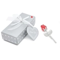 Silver Stem Rose With Silver Box / Red