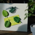 Product 6