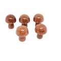 Five goldstone mini mushroom figurines for DIY garden decoration and fish tank landscaping - Goldstone (Synthetic)