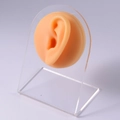 Flesh-colored silicone ear model with clear acrylic stand for piercing and jewelry display - Left Ear