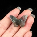 Natural polished agate crystal butterfly figurine in grey and red tones on fingertips - African Blood Stone