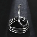 Detailed macro shot of a silver snake-shaped necklace showing intricate metal textures - Engraved Gun Black