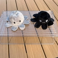 Reversible octopus plush keychain in grey and black showing smile and angry expressions - 5cm Keychain / Grey-Black