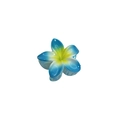 Tropical blue and yellow plumeria flower hair claw clip for beach summer hair styling - 8cm Blue