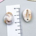 Natural cowrie shell charm with bicolor pattern and pre-drilled hole for DIY jewelry - Cream Acrylic Double Hole Conch 18x13x8mm (23599)