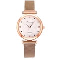Women's rose gold magnetic quartz watch with crystal floral dial and mesh band - Beige Single Watch