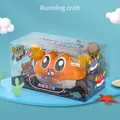 Orange inertia bubble crab toy for toddlers in a transparent ocean-themed gift box - Color Box / Orange