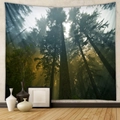 Dettaglio di un arazzo forestale con raggi di sole che filtrano tra gli alberi - Luce e Ombra di Tyndall della Foresta (GT100022) / 73X95CM