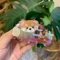 Close-up of red panda acrylic hair claw clip with wood texture and polished finish - Red Panda