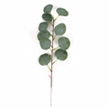 Close-up of artificial eucalyptus stem with grey-green leaves and detailed natural veins - Long Eucalyptus Leaves