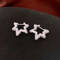Sparkling silver star earrings with micro-set white cubic zirconia and buckle closure - 70# Silver Pavé Pentagram (Ear Buckle)