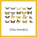 Vibrant yellow butterfly PET stickers with gold stamping for scrapbooking and DIY - Yellow Butterfly