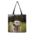 Golden Retriever (hm5148)