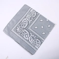 Classic grey paisley bandana made of breathable polyester for outdoor sports and cycling - 54*54CM / Light Gray