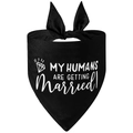 Detail of black pet wedding bandana with white My Humans Are Getting Married text and bow - Style 5-Black My Humans Are Getting Married With Ring