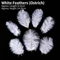 Pack of seven pure white ostrich feathers for elegant birthday cake decoration topper - White Feathers - Random