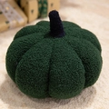 Cartoon pumpkin plush pillow in dark green teddy velvet with a purple stem for home decor - Dark Green