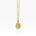 Golden stainless steel necklace with Leo lion head silhouette and crystal pendant - Leo
