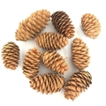 Set di 9 pigne naturali marroni in varie dimensioni per decorazioni natalizie - 4-6CM Pigna di Abete Rosso