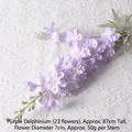 Delphinium Purple