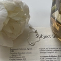 Adjustable S925 silver plated chain ring featuring a delicate hollow flower charm detail - Silver-Small Flower Style