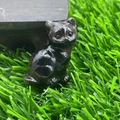 Polished black obsidian gemstone cat figurine carving placed on green grass - Garnet