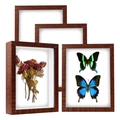 Set of 4 dark wood square shadow box frames with 3D depth for dried flowers and specimens - 5x7 inches (12.7x17.8cm) / Walnut