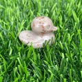 Natural gemstone duck figurine in spotted pink-grey stone on green grass lawn - Indian Red Jade
