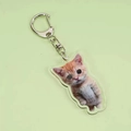Cute ginger cat acrylic keychain accessory with a silver lobster clasp for backpacks - Pity Style